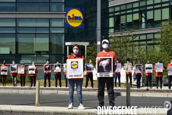 Cause animale : Action nationale L214 devant le siège de LIDL à Rungis pour dénoncer les conditions d elevage des poulets de chair. Animals rights, chickens.