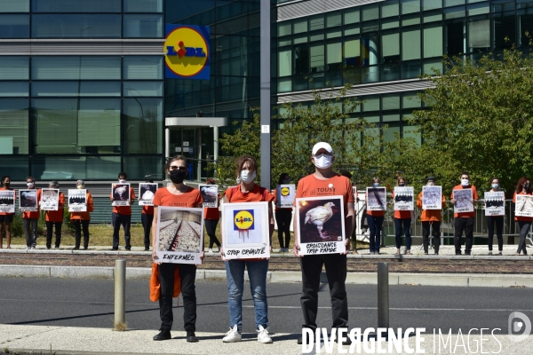 Cause animale : Action nationale L214 devant le siège de LIDL à Rungis pour dénoncer les conditions d elevage des poulets de chair. Animals rights, chickens.