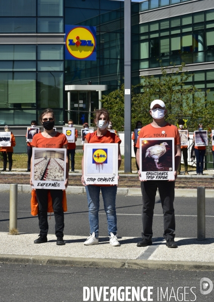 Cause animale : Action nationale L214 devant le siège de LIDL à Rungis pour dénoncer les conditions d elevage des poulets de chair. Animals rights, chickens.