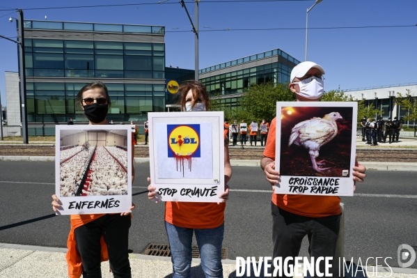 Cause animale : Action nationale L214 devant le siège de LIDL à Rungis pour dénoncer les conditions d elevage des poulets de chair. Animals rights, chickens.