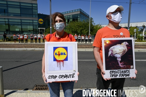 Cause animale : Action nationale L214 devant le siège de LIDL à Rungis pour dénoncer les conditions d elevage des poulets de chair. Animals rights, chickens.