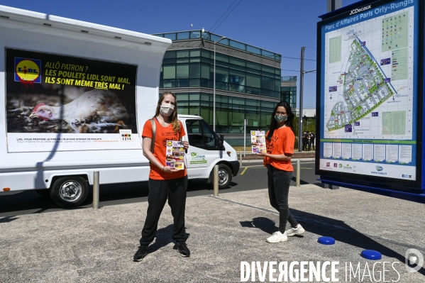 Cause animale : Action nationale L214 devant le siège de LIDL à Rungis pour dénoncer les conditions d elevage des poulets de chair. Animals rights, chickens.