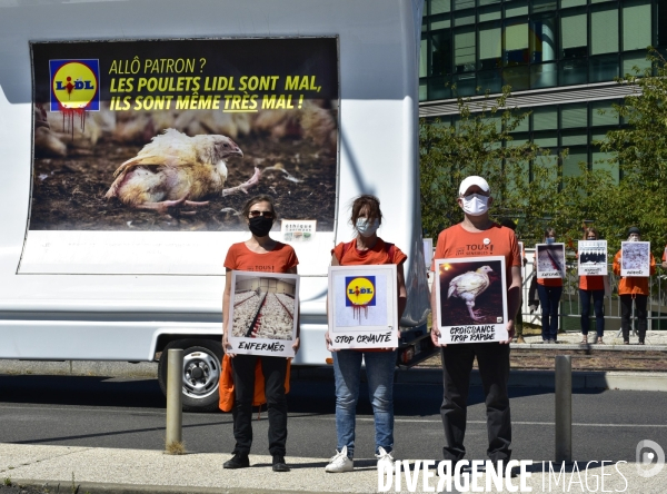 Cause animale : Action nationale L214 devant le siège de LIDL à Rungis pour dénoncer les conditions d elevage des poulets de chair. Animals rights, chickens.