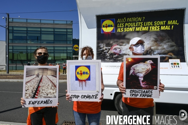 Cause animale : Action nationale L214 devant le siège de LIDL à Rungis pour dénoncer les conditions d elevage des poulets de chair. Animals rights, chickens.