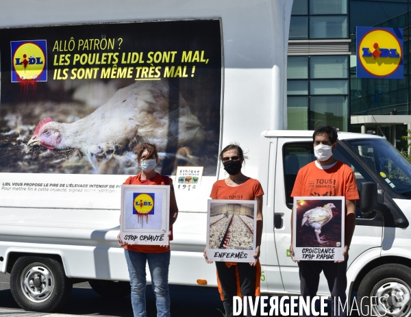 Cause animale : Action nationale L214 devant le siège de LIDL à Rungis pour dénoncer les conditions d elevage des poulets de chair. Animals rights, chickens.