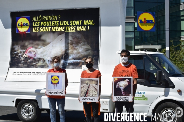 Cause animale : Action nationale L214 devant le siège de LIDL à Rungis pour dénoncer les conditions d elevage des poulets de chair. Animals rights, chickens.