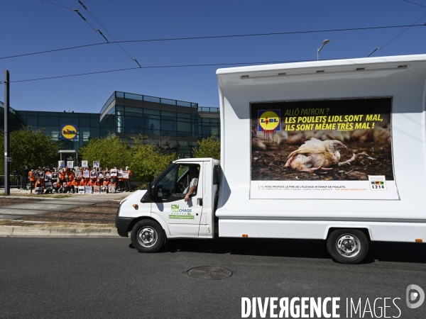 Cause animale : Action nationale L214 devant le siège de LIDL à Rungis pour dénoncer les conditions d elevage des poulets de chair. Animals rights, chickens.