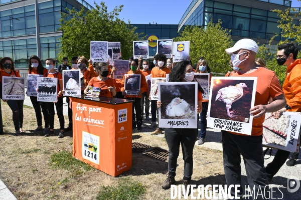 Cause animale : Action nationale L214 devant le siège de LIDL à Rungis pour dénoncer les conditions d elevage des poulets de chair. Animals rights, chickens.