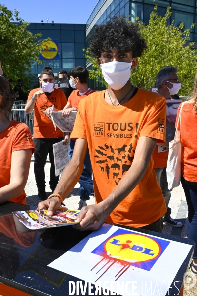 Cause animale : Action nationale L214 devant le siège de LIDL à Rungis pour dénoncer les conditions d elevage des poulets de chair. Animals rights, chickens.