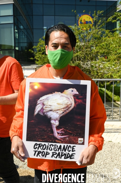 Cause animale : Action nationale L214 devant le siège de LIDL à Rungis pour dénoncer les conditions d elevage des poulets de chair. Animals rights, chickens.