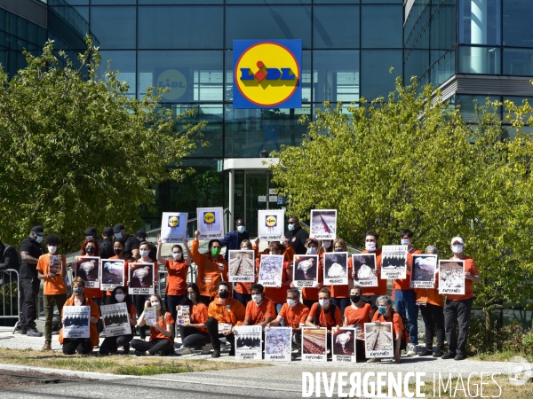 Cause animale : Action nationale L214 devant le siège de LIDL à Rungis pour dénoncer les conditions d elevage des poulets de chair. Animals rights, chickens.