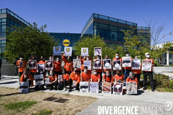 Cause animale : Action nationale L214 devant le siège de LIDL à Rungis pour dénoncer les conditions d elevage des poulets de chair. Animals rights, chickens.