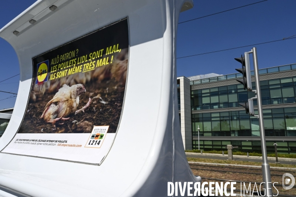 Cause animale : Action nationale L214 devant le siège de LIDL à Rungis pour dénoncer les conditions d elevage des poulets de chair. Animals rights, chickens.