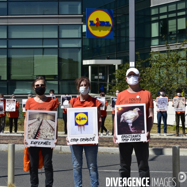 Cause animale : Action nationale L214 devant le siège de LIDL à Rungis pour dénoncer les conditions d elevage des poulets de chair. Animals rights, chickens.