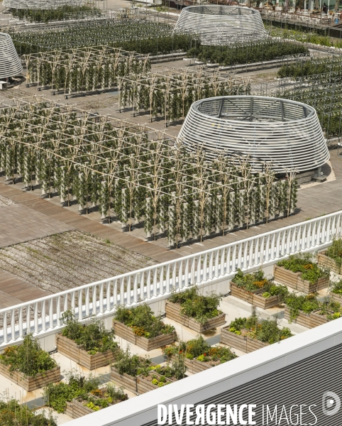 Ferme urbaine de paris expo