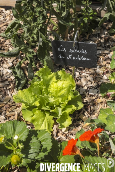 Ferme urbaine de paris expo