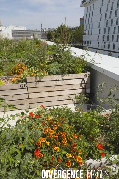 Ferme urbaine de paris expo
