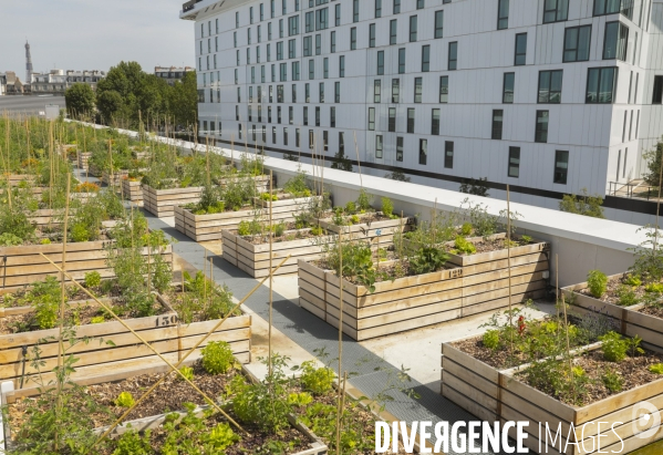 Ferme urbaine de paris expo