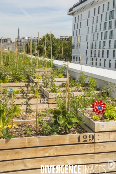 Ferme urbaine de paris expo