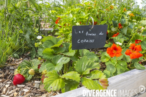 Ferme urbaine de paris expo