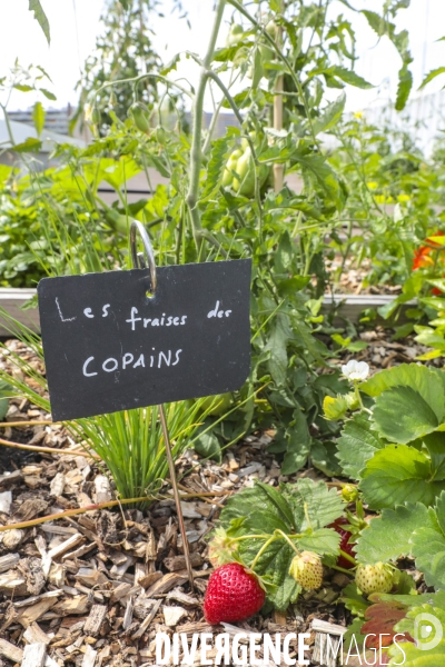 Ferme urbaine de paris expo