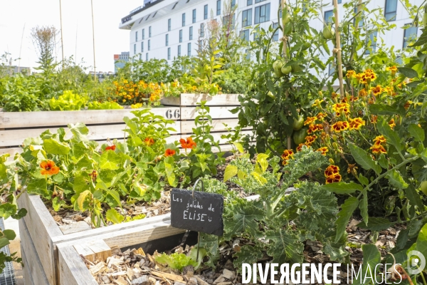 Ferme urbaine de paris expo