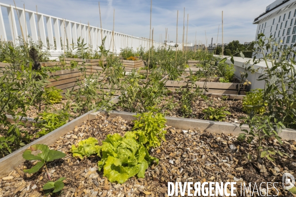 Ferme urbaine de paris expo