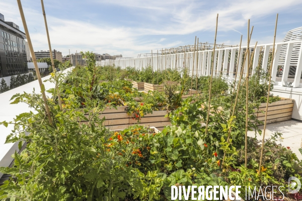 Ferme urbaine de paris expo