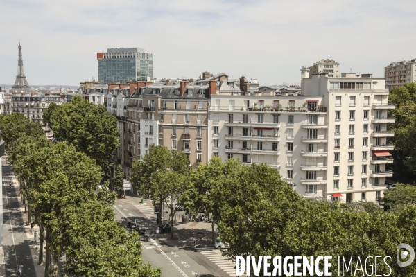 Paris xv immobilier