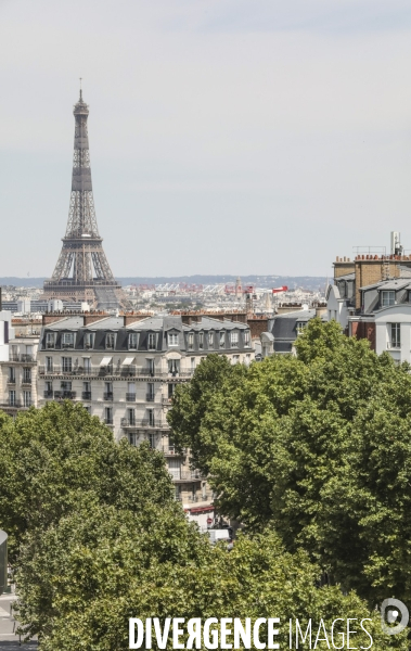 Paris xv immobilier