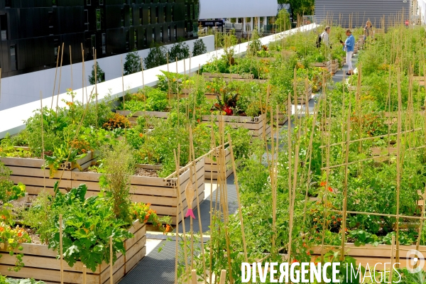 La ferme urbaine sur le toit du pavillon 6 du parc des expositions. # 1