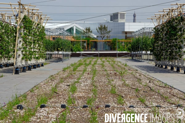 La ferme urbaine sur le toit du pavillon 6 du parc des expositions. # 1