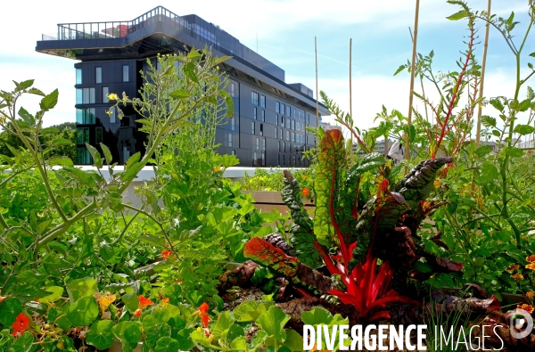 La ferme urbaine sur le toit du pavillon 6 du parc des expositions. # 1