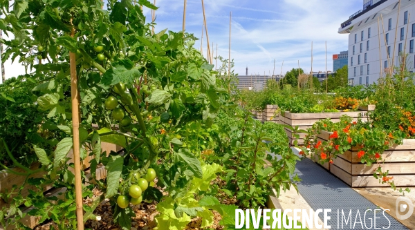 La ferme urbaine sur le toit du pavillon 6 du parc des expositions. # 1