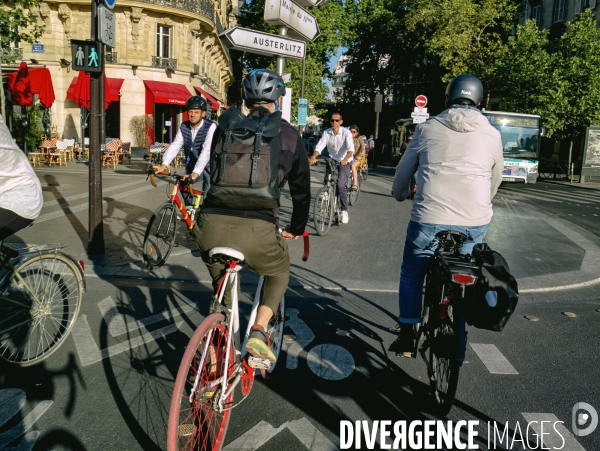 Paris : la folie du vélo