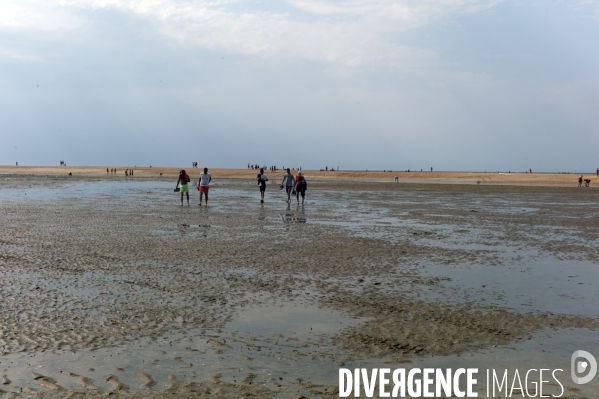 Plage d Houlgate marée basse