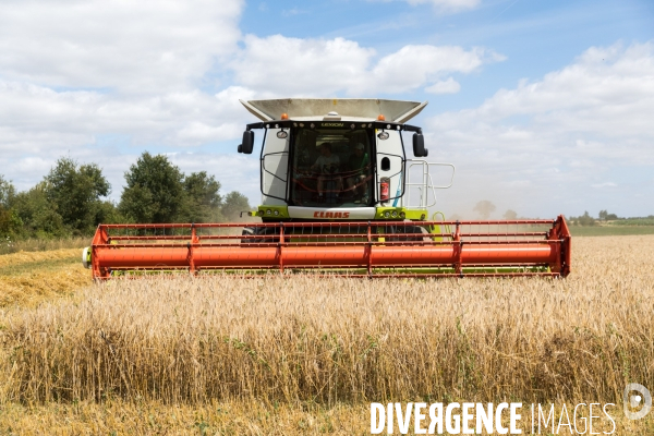 Paysan boulanger en Mayenne