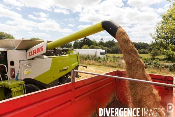 Paysan boulanger en Mayenne