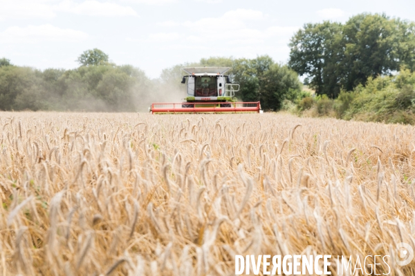 Paysan boulanger en Mayenne