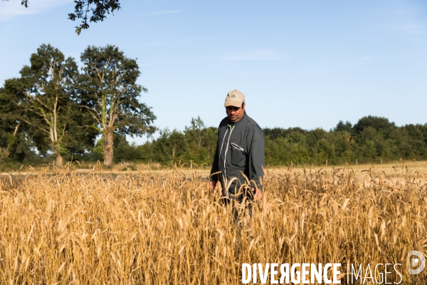 Paysan boulanger en Mayenne