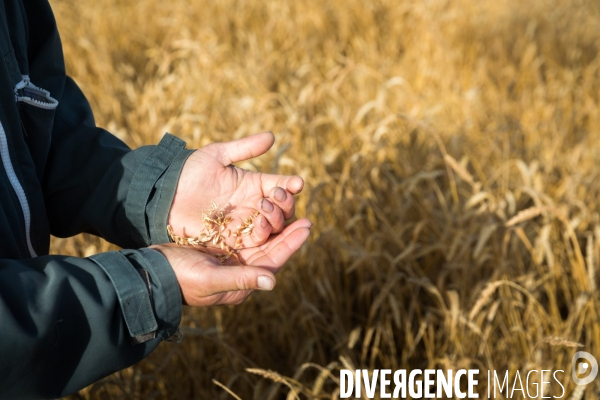 Paysan boulanger en Mayenne