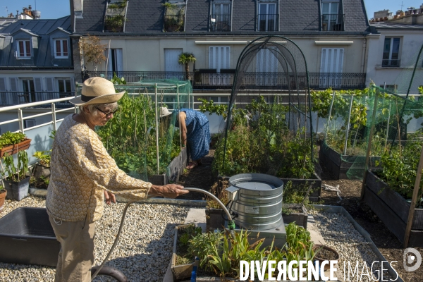 Un potager sur le toit