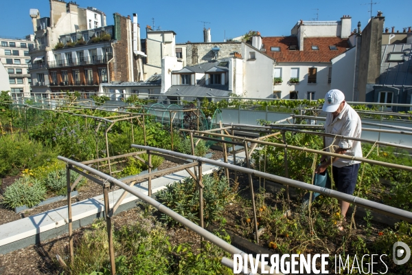 Un potager sur le toit