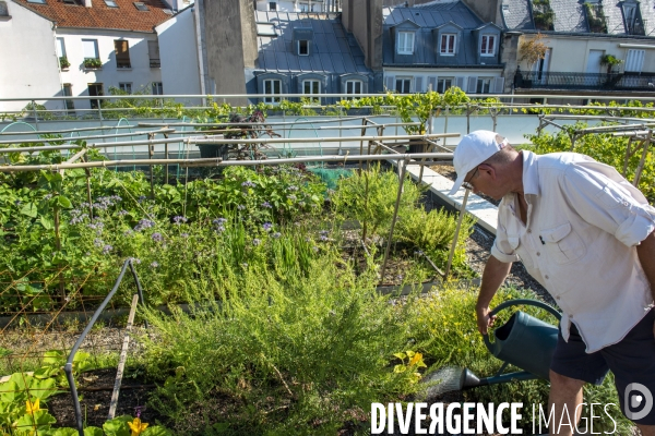 Un potager sur le toit