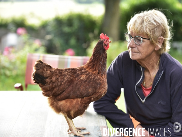 Gens et animaux : Une femmes et ses poules. People with animals : woman and hens.