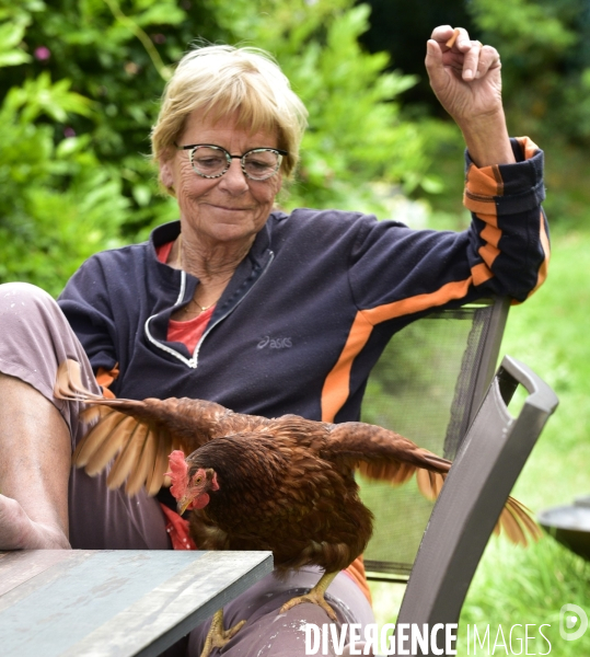 Gens et animaux : Une femmes et ses poules. People with animals : woman and hens.