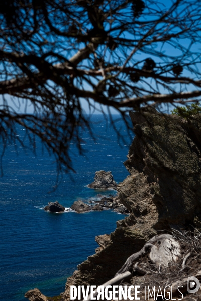 La réserve naturelle de Porquerolles, Port-Cros