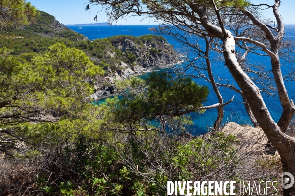 La réserve naturelle de Porquerolles, Port-Cros