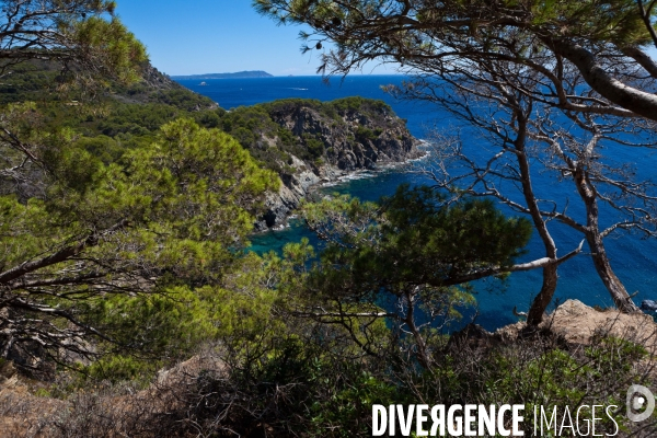 La réserve naturelle de Porquerolles, Port-Cros