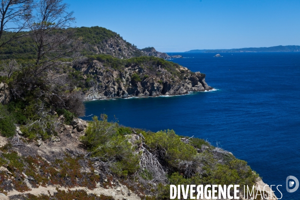 La réserve naturelle de Porquerolles, Port-Cros